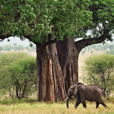 tour-listing-details-slide