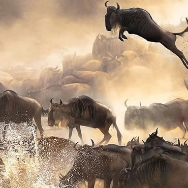 tour-listing-details-slide