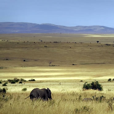 tour-listing-details-slide