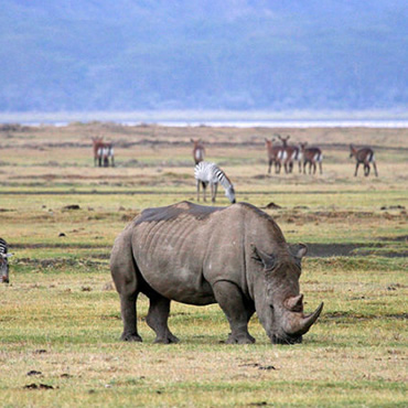 tour-listing-details-slide