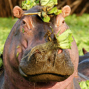 tour-listing-details-slide