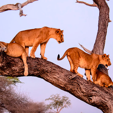 tour-listing-details-slide