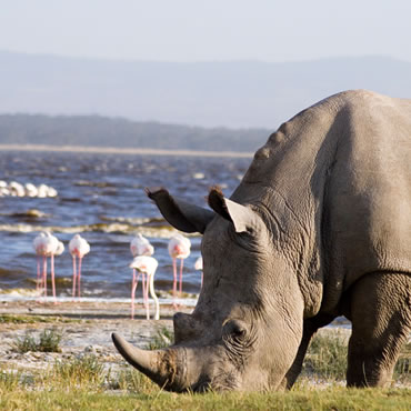 tour-listing-details-slide