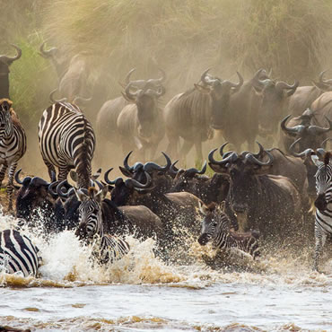 tour-listing-details-slide