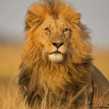 tour-listing-details-slide