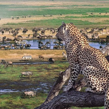 tour-listing-details-slide