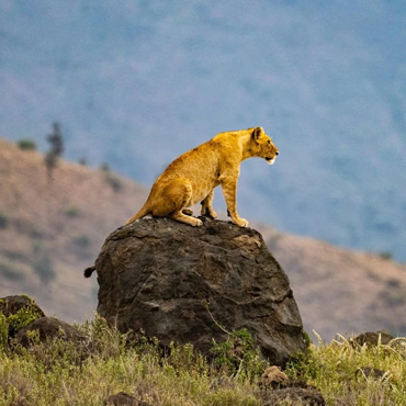 tour-listing-details-slide