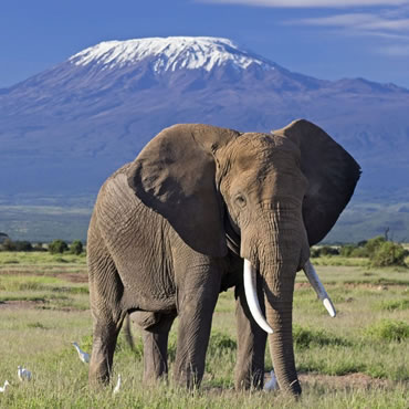 tour-listing-details-slide