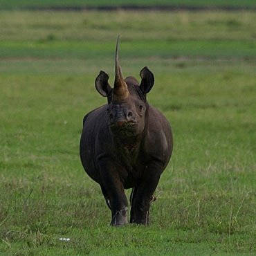 tour-listing-details-slide