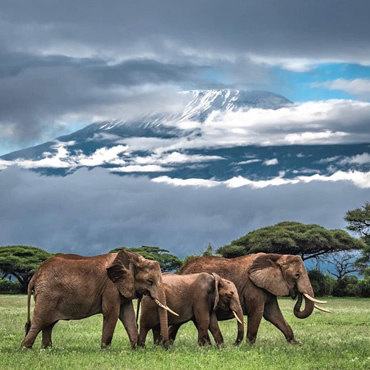 tour-listing-details-slide