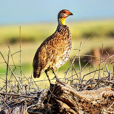 tour-listing-details-slide