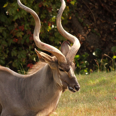 tour-listing-details-slide