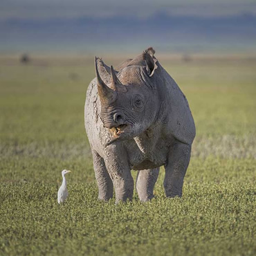 tour-listing-details-slide