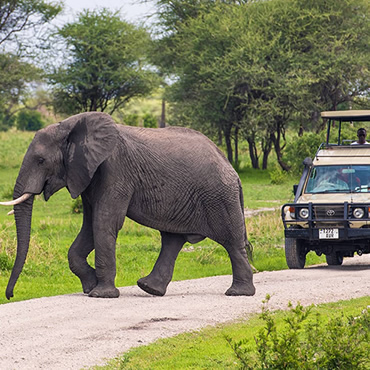 tour-listing-details-slide