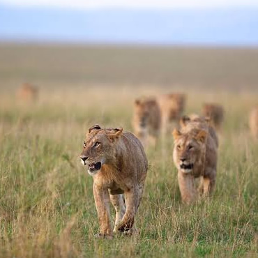 tour-listing-details-slide