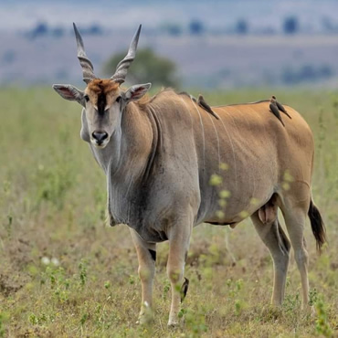 tour-listing-details-slide