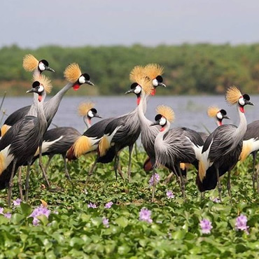 tour-listing-details-slide