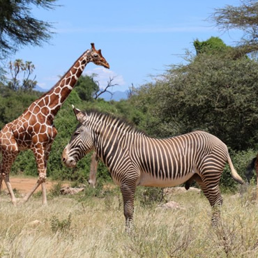 tour-listing-details-slide