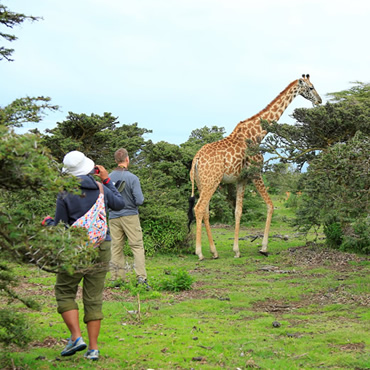 tour-listing-details-slide