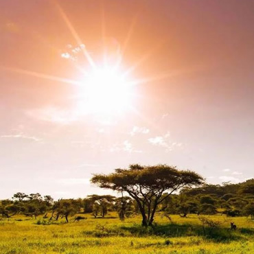 tour-listing-details-slide