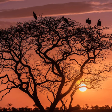 tour-listing-details-slide