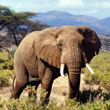 tour-listing-details-slide