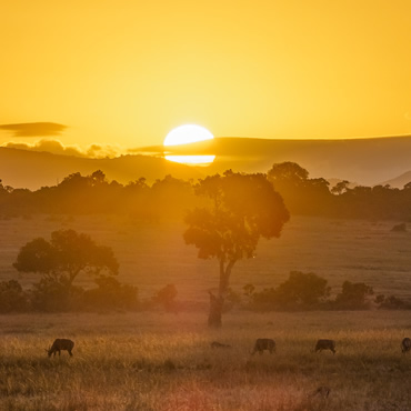 tour-listing-details-slide