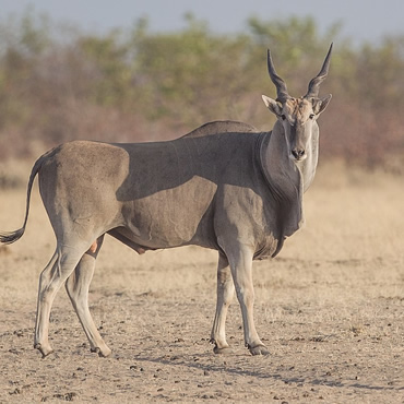 tour-listing-details-slide