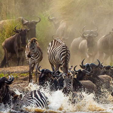 tour-listing-details-slide