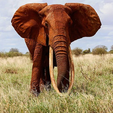 tour-listing-details-slide