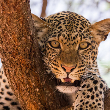 tour-listing-details-slide