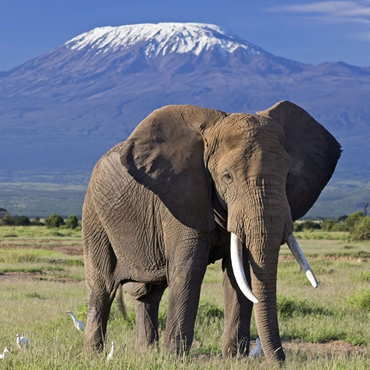 tour-listing-details-slide