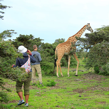 tour-listing-details-slide