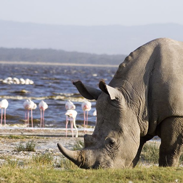 tour-listing-details-slide