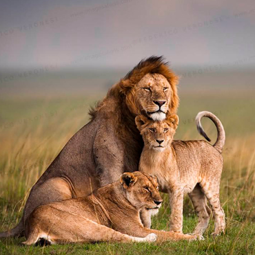 tour-listing-details-slide