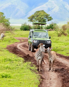 assets/images/tours/6-days-tanzania-wildlife-safari.jpg